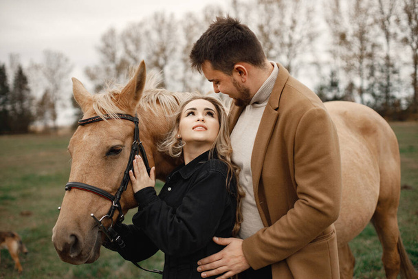 Romantic couple with a brown horse in the field - Foto, Imagen