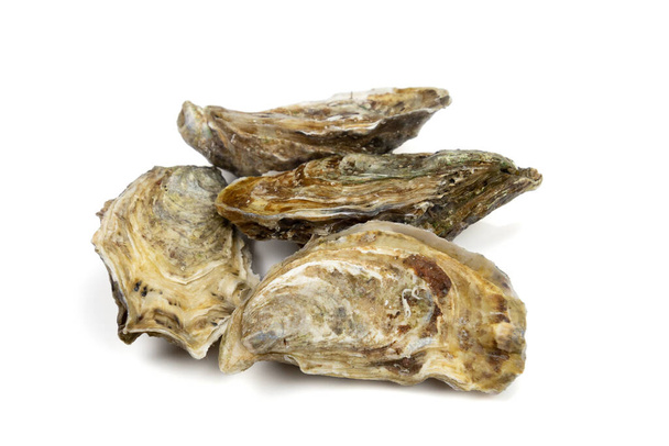 several closed oysters isolated on a white background - Foto, imagen