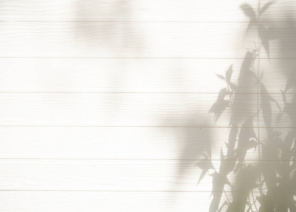 Sombra abstrato folha texturizado minimalismo pano de fundo branco de madeira para simular - Foto, Imagem