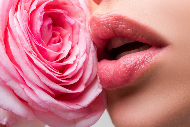 Lips with lipstick closeup. Beautiful woman lips with rose. Close-up macro photo of a sexy full bright lips with fur texture, open mouth close up. Beautiful woman lips with rose. - 写真・画像