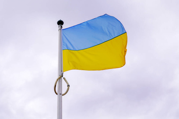 flag ukraine yellow blue Ukrainian national official on sky background - Photo, Image