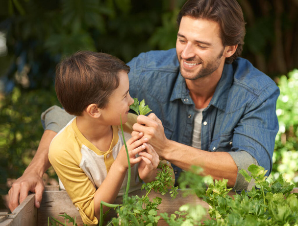 What a lovely smell. Shot of a father and his son doing some gardening together. - Photo, Image