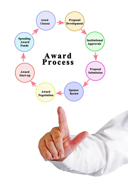 Eight components of award process - Photo, Image