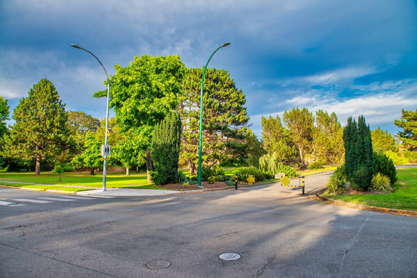 Beautiful colors of Beacon Hill Park in Victoria, Vancouver Island - Foto, Imagen