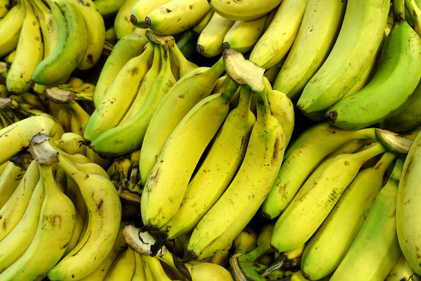bananas in the greengrocer, a large amount of bananas on sale in the sales aisle, - Photo, Image