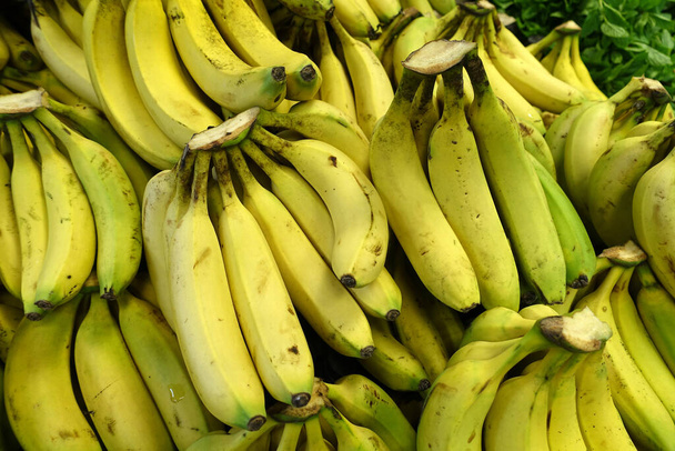 plátanos en la verdulería, una gran cantidad de plátanos a la venta en el pasillo de ventas, - Foto, imagen