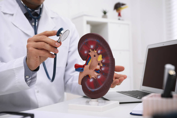 Doctor with stethoscope and kidney model at workplace, closeup - Foto, afbeelding