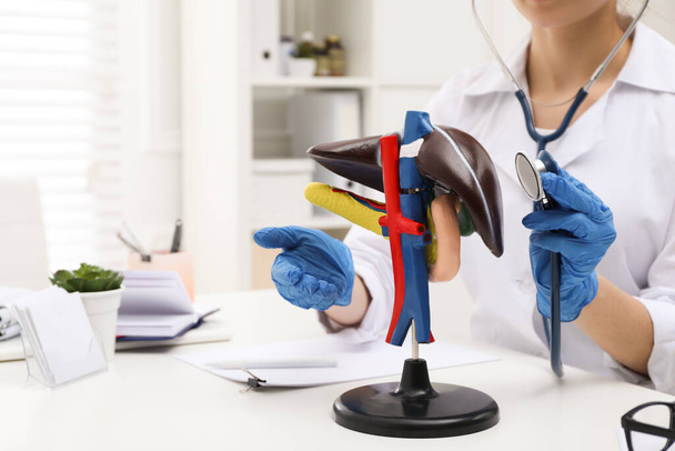 Doctor with stethoscope and liver model at workplace, closeup. Space for text - Foto, afbeelding
