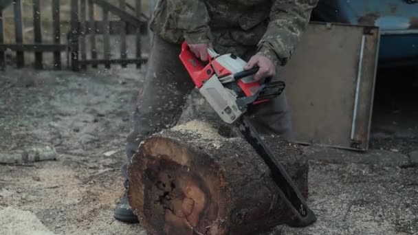 Cutting tree slowmotion - Footage, Video