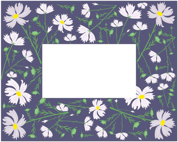 Símbolo de Amor, Marco de Ilustración de Flores de Cosmos Blancas Brillantes y Hermosas o Cosmos Bipinnatus Aislado sobre Fondo Blanco - Vector, imagen