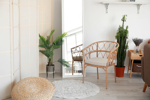 Ayna ile hasır sandalye ve ışık duvarının yanında bitkiler - Fotoğraf, Görsel