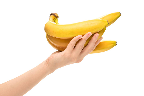 Ein Bündel Bananen in Frauenhand isoliert auf weißem Hintergrund. - Foto, Bild