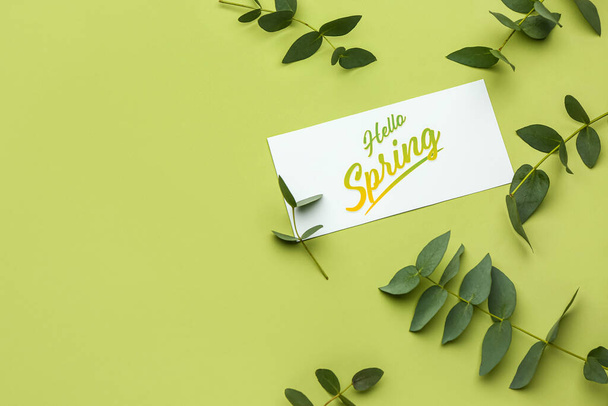 Card with text HELLO SPRING and eucalyptus branches on green background - Photo, Image
