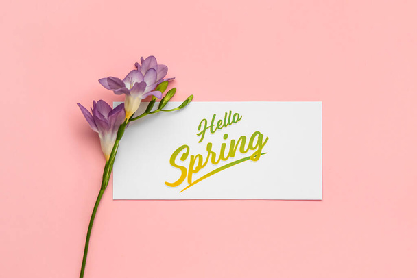Κάρτα με κείμενο HELLO SPRING και όμορφο λουλούδι φρέζια σε ροζ φόντο - Φωτογραφία, εικόνα
