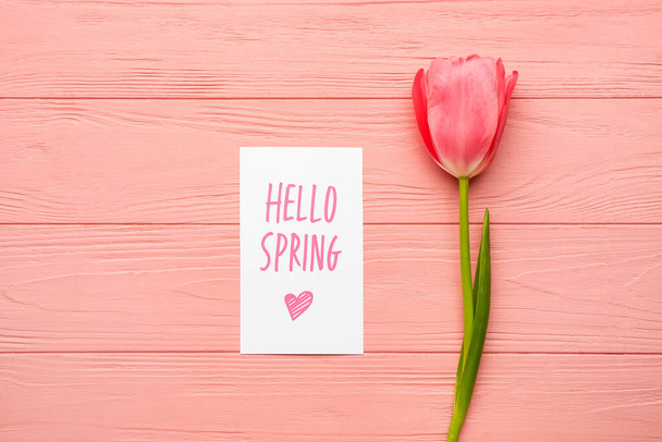 Kártya szöveggel HELLO SPRING és gyönyörű tulipán virág színes fa háttér - Fotó, kép