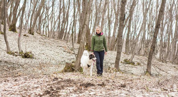 vrouw lopen met haar hond in het bos - Foto, afbeelding