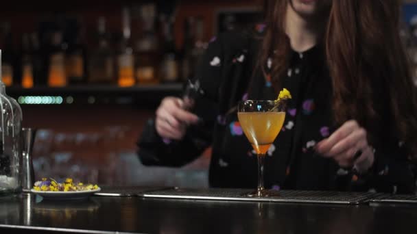 Pelirroja chica Joven mujer adulta barman prepara mezclas de papel avión cóctel en el bar - Imágenes, Vídeo