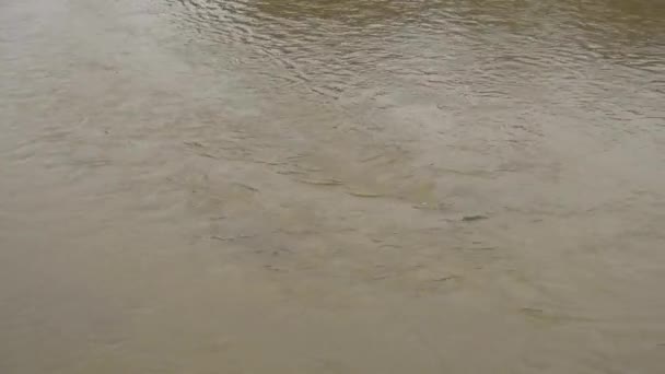 een rivier met troebel water, een rivier die door een nederzetting stroomt, - Video