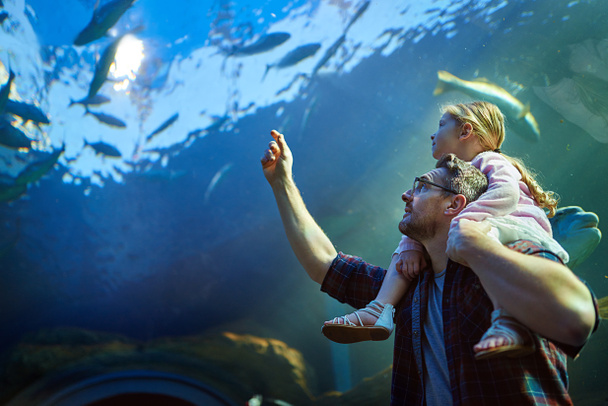 Ближче до всіх морських істот. Обрізаний знімок батька і його маленька донька дивиться на виставку в акваріумі
. - Фото, зображення