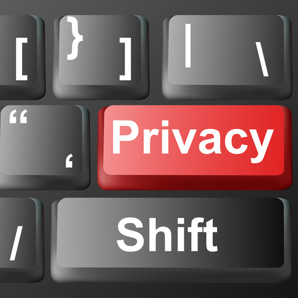 Concetto di privacy online
 - Vettoriali, immagini