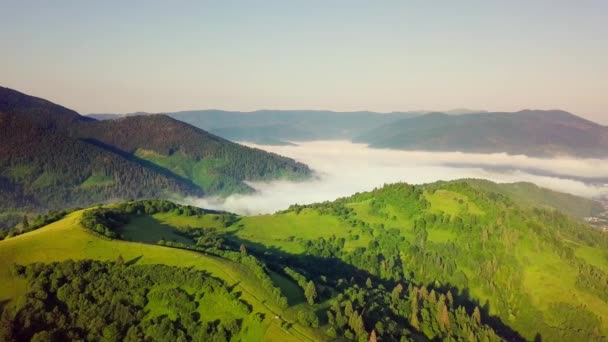 Karpatlar 'ın uçsuz bucaksız otlaklarının ve tarım arazilerinin havadan görünüşü. Tarım tarlası. Gün batımında kırsal dağ manzarası. Ukrayna. - Video, Çekim