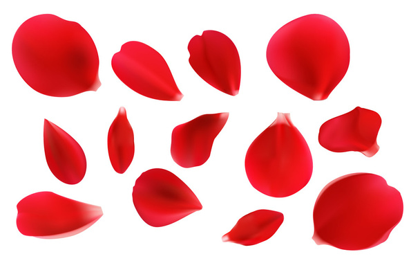 rote Rosenblätter - Vektor, Bild