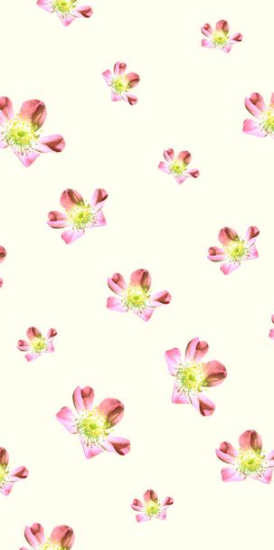 Renkli çiçek desenli arkaplan şablonu  - Fotoğraf, Görsel