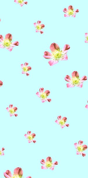 カラフルな花柄の背景テンプレート  - 写真・画像