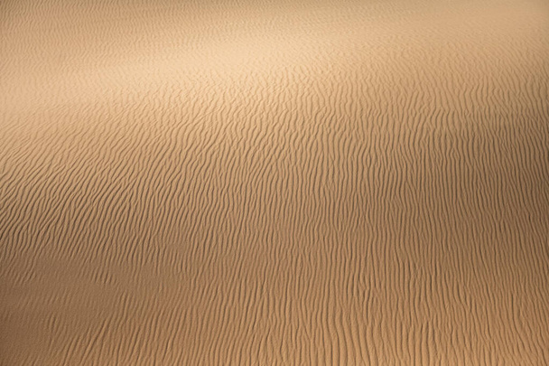 Ναμίμπια, η έρημος Namib, γραφικό τοπίο των κίτρινων αμμόλοφων - Φωτογραφία, εικόνα