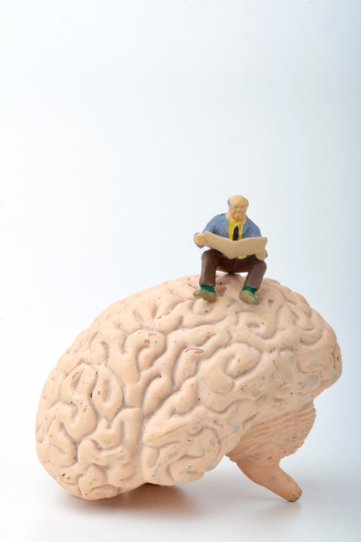 miniaturní figurka člověka sedícího na obřím mozku - Fotografie, Obrázek