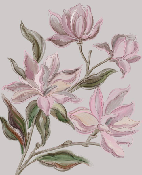 Bouquet of magnolia. Hand draw illustrations of magnolia flowers in pastel colors. Performing oil paints in digital art. - Photo, Image