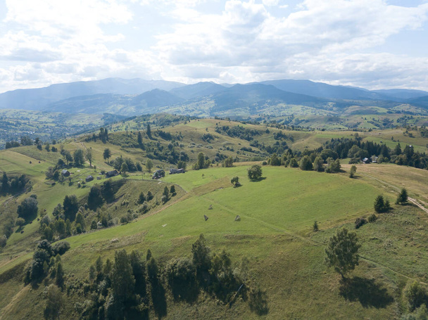 Green mountains of Ukrainian Carpathians in summer. Coniferous trees on the slopes. Aerial drone view. - Zdjęcie, obraz