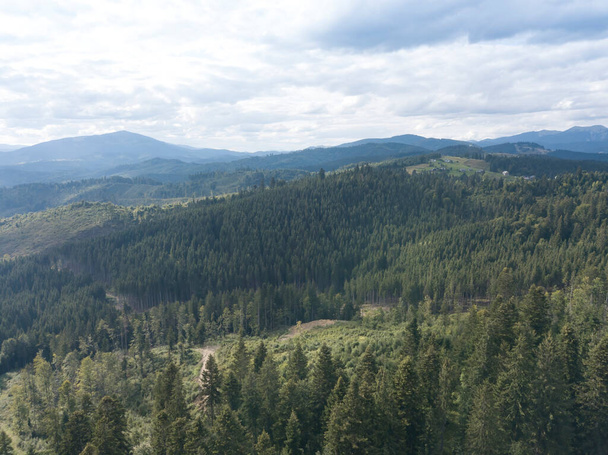Montagne verdi di Carpazi ucraini in estate. Alberi di conifere sulle pendici. Vista aerea drone. - Foto, immagini