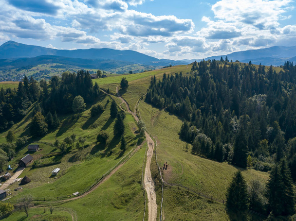 Green mountains of Ukrainian Carpathians in summer. Coniferous trees on the slopes. Aerial drone view. - Fotoğraf, Görsel