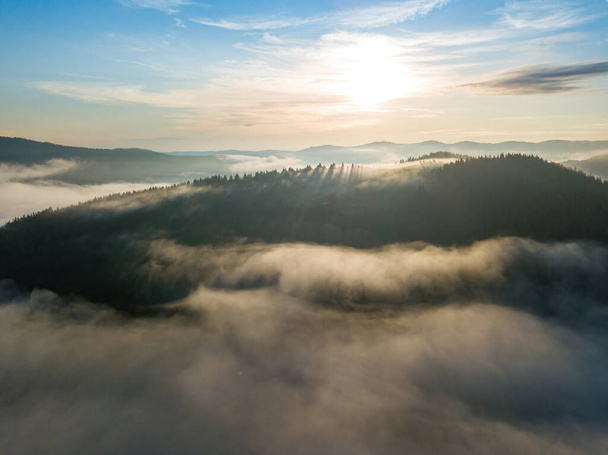 Сонячний ранок у туманних Карпатах. Тонкий шар туману вкриває гори. Повітряний дрон. - Фото, зображення
