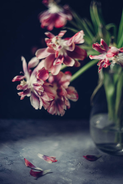 Bouquet of red tulip flowers in a transparent vase - Φωτογραφία, εικόνα