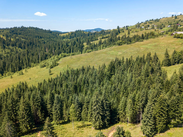 Las montañas verdes de los Cárpatos Ucranianos en verano. Soleado día despejado. Vista aérea del dron. - Foto, Imagen