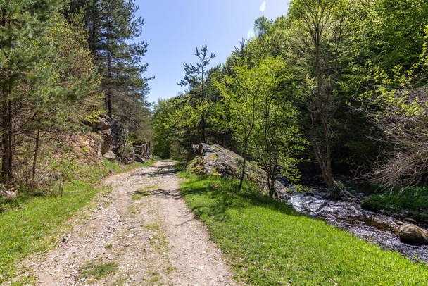 Path through the forrest alongside the Fotinska river, going to the Fotinksi waterfalls near Fotinovo village in Bulgaria - Foto, immagini