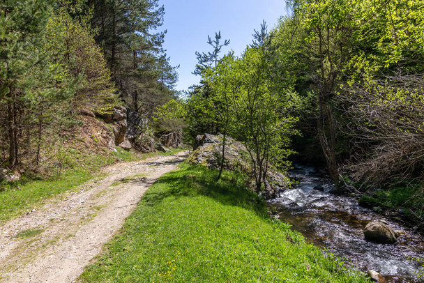 Path through the forrest alongside the Fotinska river, going to the Fotinksi waterfalls near Fotinovo village in Bulgaria - 写真・画像