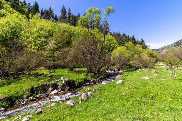 Pad door het bos langs de rivier Fotinska, naar de Fotinksi watervallen bij Fotinovo dorp in Bulgarije - Foto, afbeelding