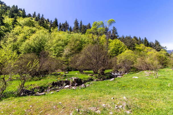 Pad door het bos langs de rivier Fotinska, naar de Fotinksi watervallen bij Fotinovo dorp in Bulgarije - Foto, afbeelding