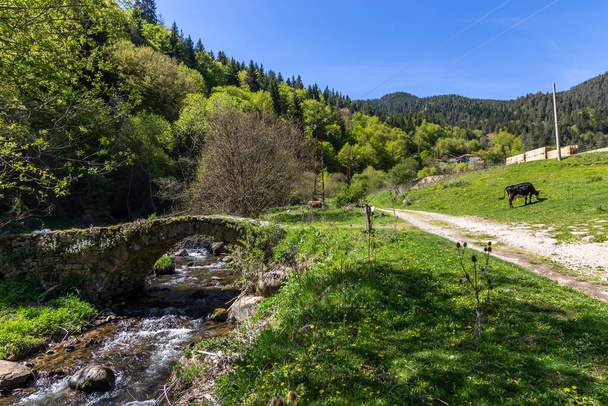Híd a Fotinska folyón, közel a Fotinskite vízesésekhez Bulgáriában - Fotó, kép