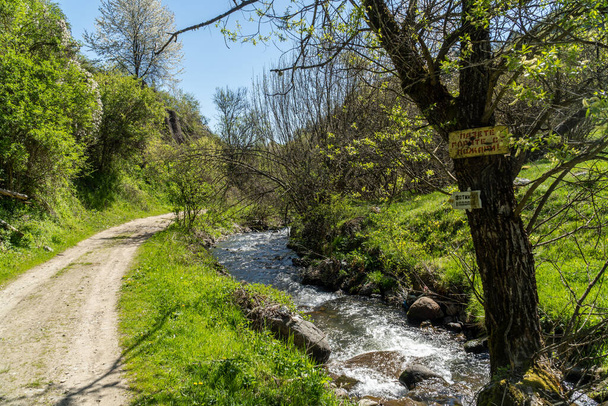Path through the forrest alongside the Fotinska river, going to the Fotinksi waterfalls near Fotinovo village in Bulgaria - Foto, Imagen