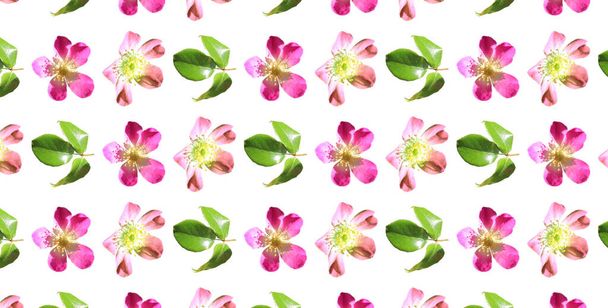 Patrón Colorido pastel floral Diseño para papel pintado, papel de envolver, fondo, tela, rosas rosadas y hojas verdes - Foto, Imagen
