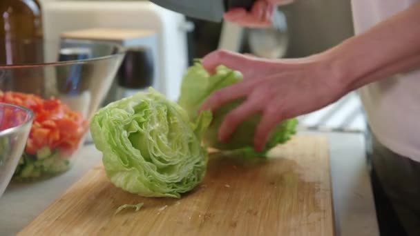 Donna lattuga tagliata per insalata di verdure - Filmati, video