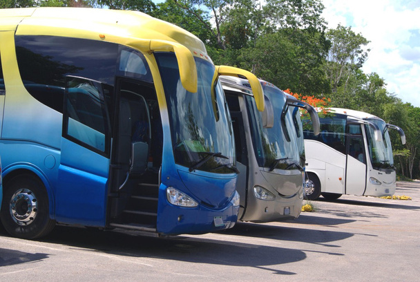 Autobuses. entrenadores
 - Foto, imagen