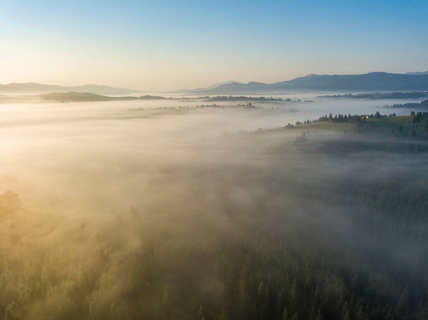 Ukrayna Karpatları 'nda sabah sisi. Hava aracı görünümü. - Fotoğraf, Görsel