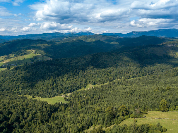 Зелені гори Українських Карпат влітку. Скручені дерева на схилах. Повітряний дрон. - Фото, зображення