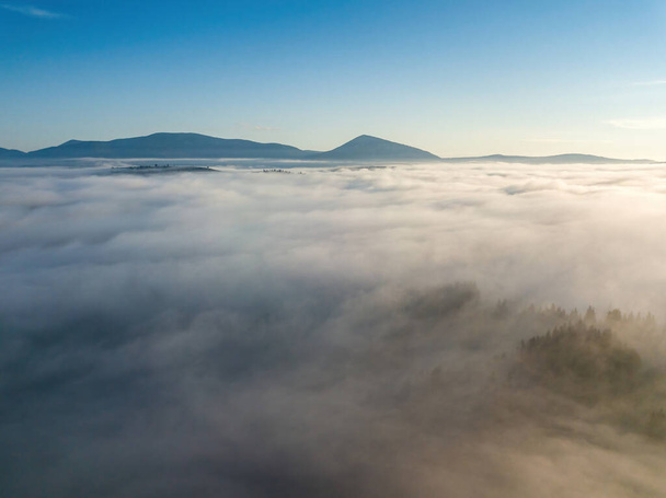 夏にウクライナのカルパティアで霧の上を飛行します。霧の厚い層は、固体カーペットで山をカバーしています。地平線の山々。空中ドローンビュー. - 写真・画像
