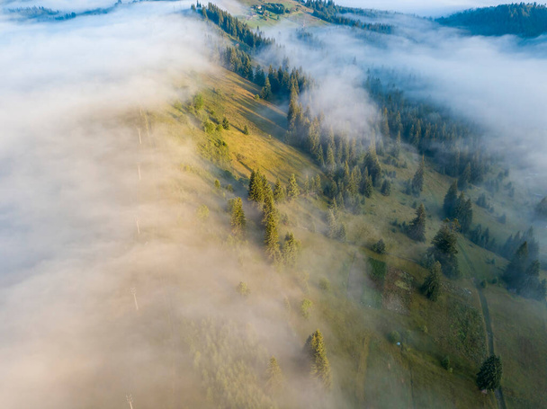 De mist omhult het bergwoud. De stralen van de opkomende zon breken door de mist. Luchtdrone zicht. - Foto, afbeelding